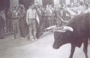 Toros enmaromados. Puerta Casino. 02.07.1949. Archivo Luis Romera Gorrión
